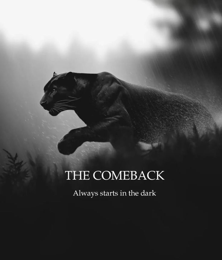 Good morning 🌅

“The comeback always starts in the dark.
So if it feels heavy right now, you’re just building power.” 🐆🔥

Rise strong. Move silent. Win loud. 💪