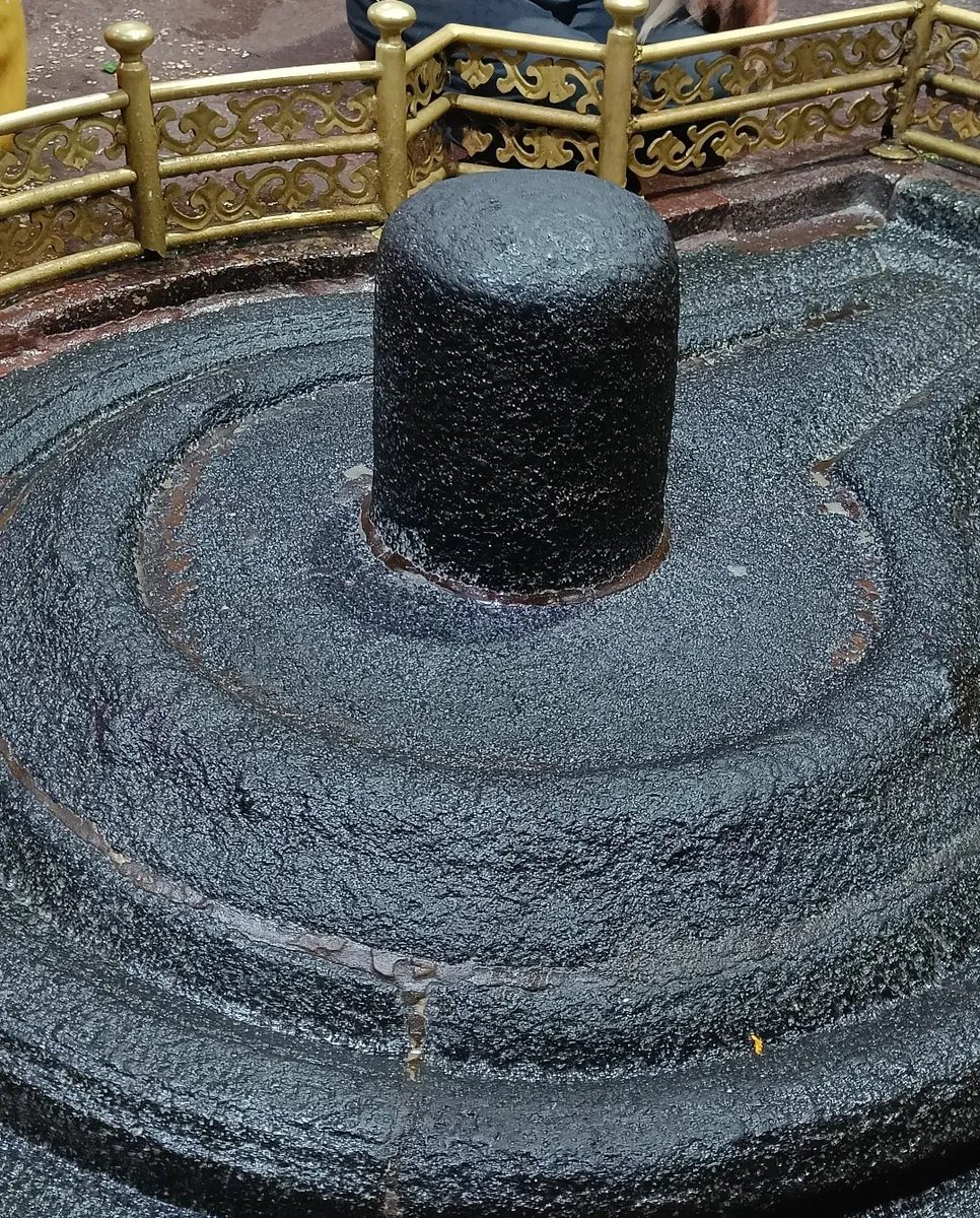 Samriddhi tweet media