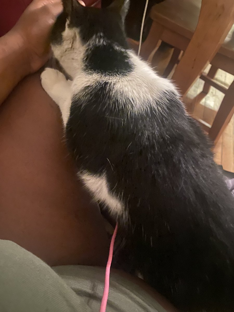 𝒜𝓇𝒾𝒶 tweet media