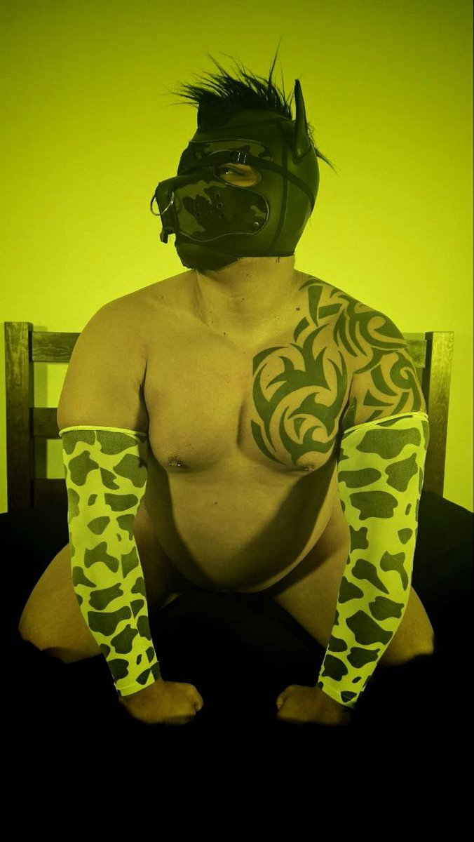 Hyena Jack tweet media