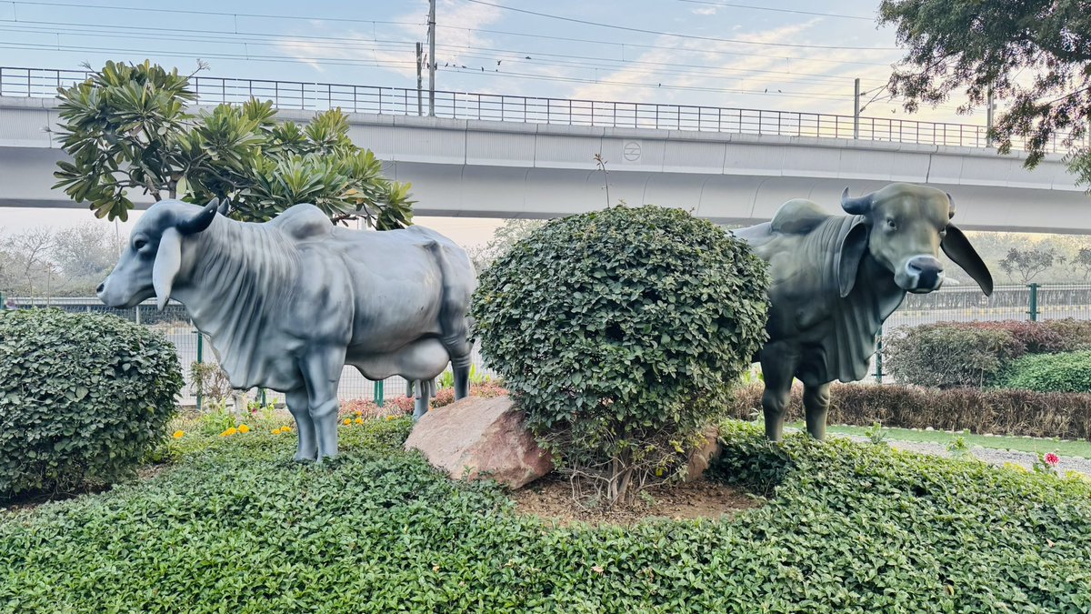 Deepak Abbot tweet media