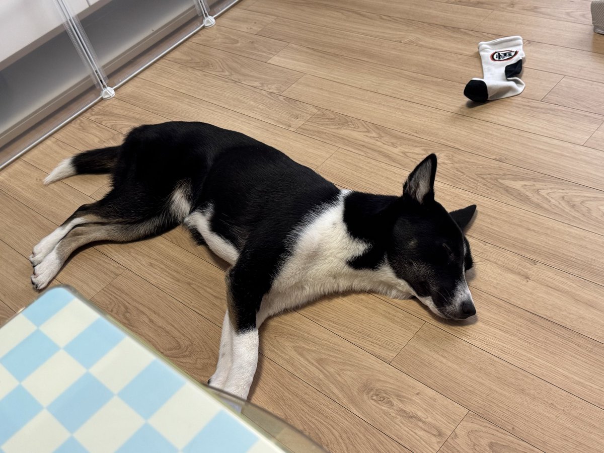 금방 자리 바꿔 누우심ㅋ