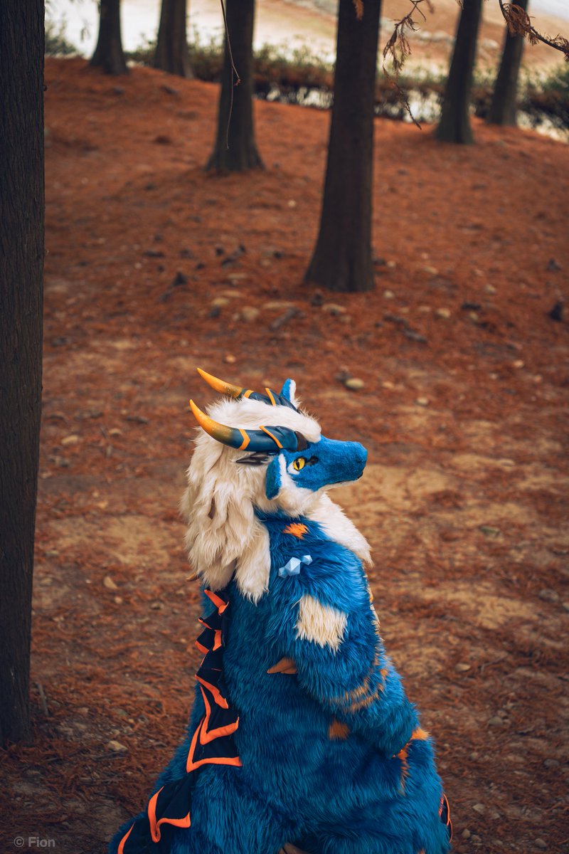 《龍龍星期五》
獨自一人漫步在林間小徑，感受那份難得的寧靜

城市裡的喧囂與煩惱，就讓這陣陣清風輕輕吹散吧

 蟲鳴鳥叫，自然的樂章療癒著疲憊的心靈

偶爾抬頭，看見陽光穿透樹葉灑下的斑駁光影，心中泛起一股暖意

這裡沒有催促，只有時間自在地流淌。

📷： <a href="/Fion_053105/">Fion🔜Furry Tea Party 2026(以茶會毛）</a>