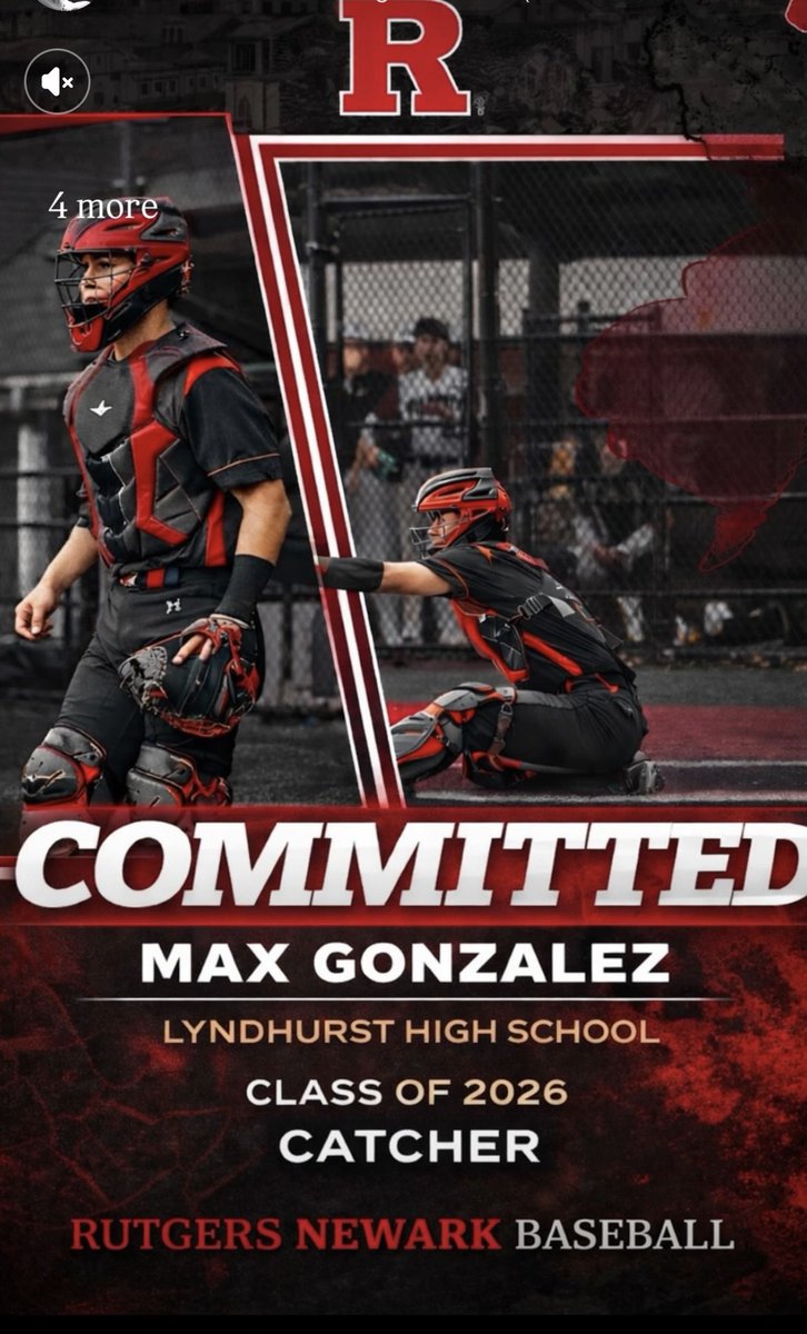 Lyndhurst Baseball tweet media