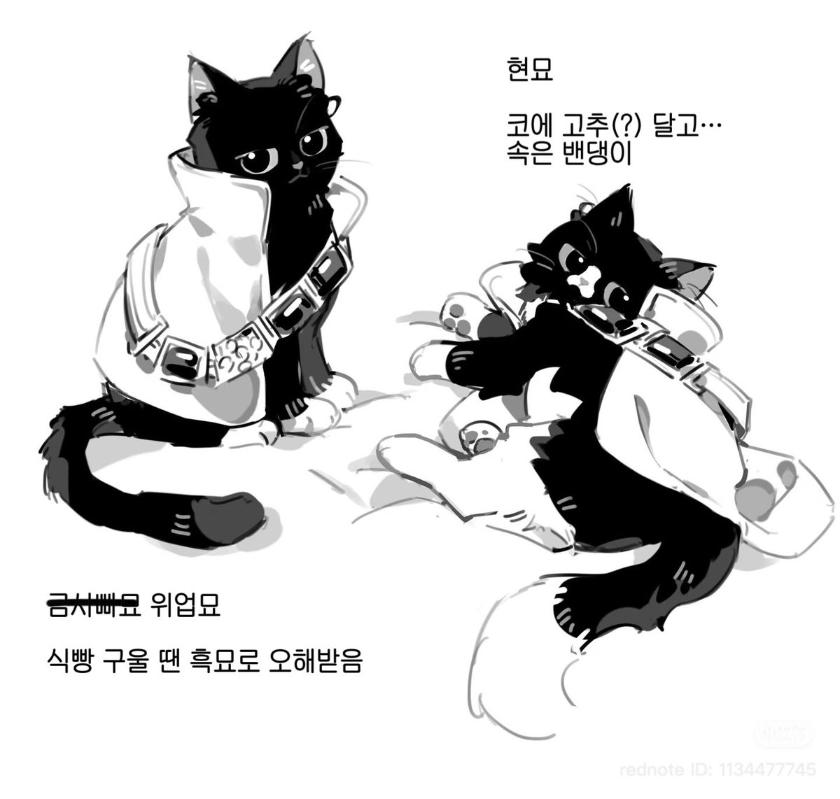 sinclair_0220ls's tweet photo. 사이다 님의 허락을 받고 번역했습니다!
원작도 많이 사랑해 주세요~ 💖
샤오홍슈: @找了五分钟才成功改了id https://t.co/PlLVjbpa5a