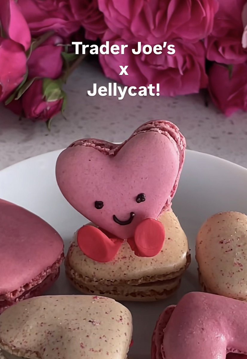 トレジョのマカロンでジェリーキャット作ってる人いて、可愛すぎて買う