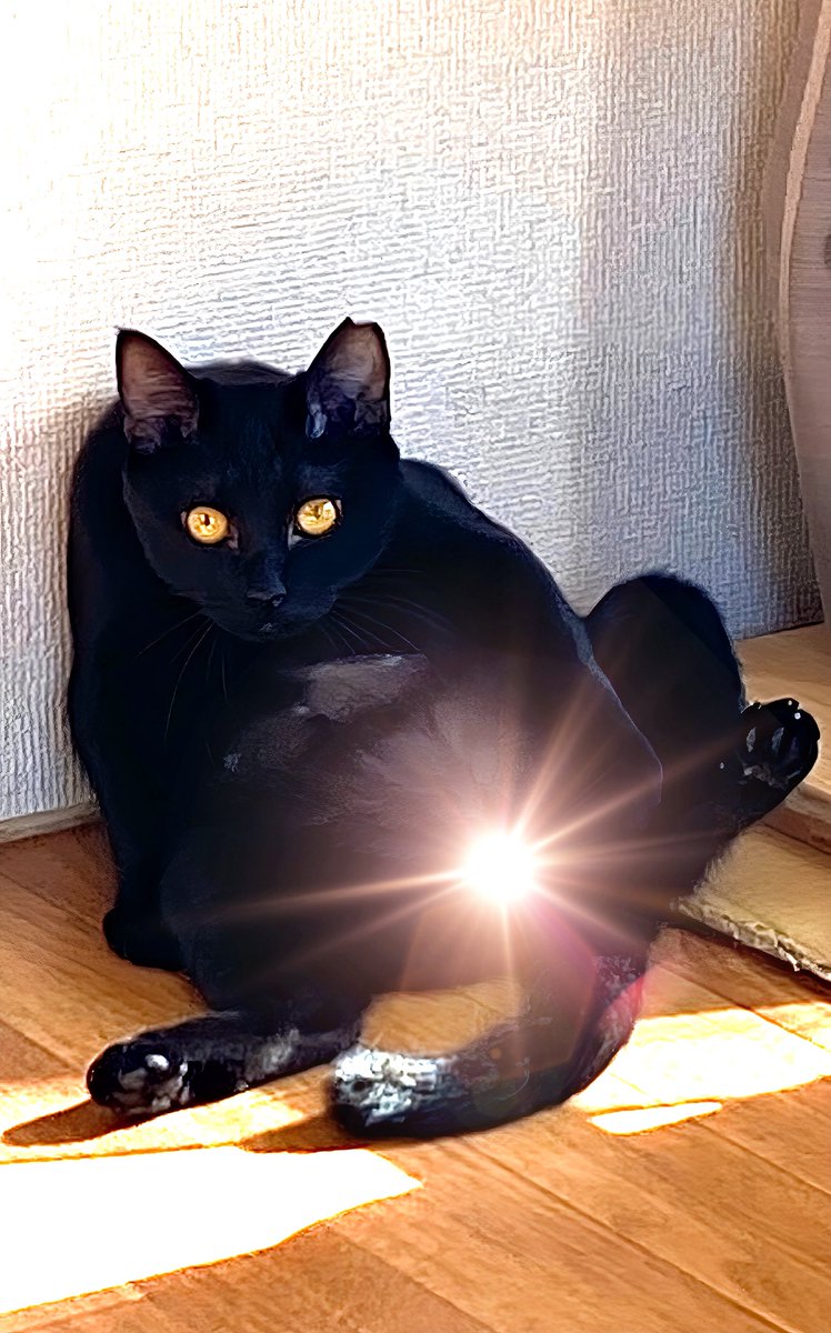 キンタマキラキラ金曜日