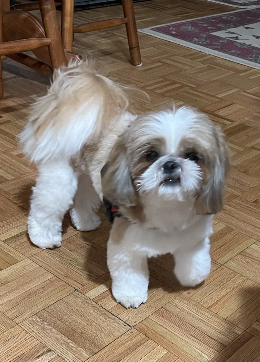 Half Price tweet media