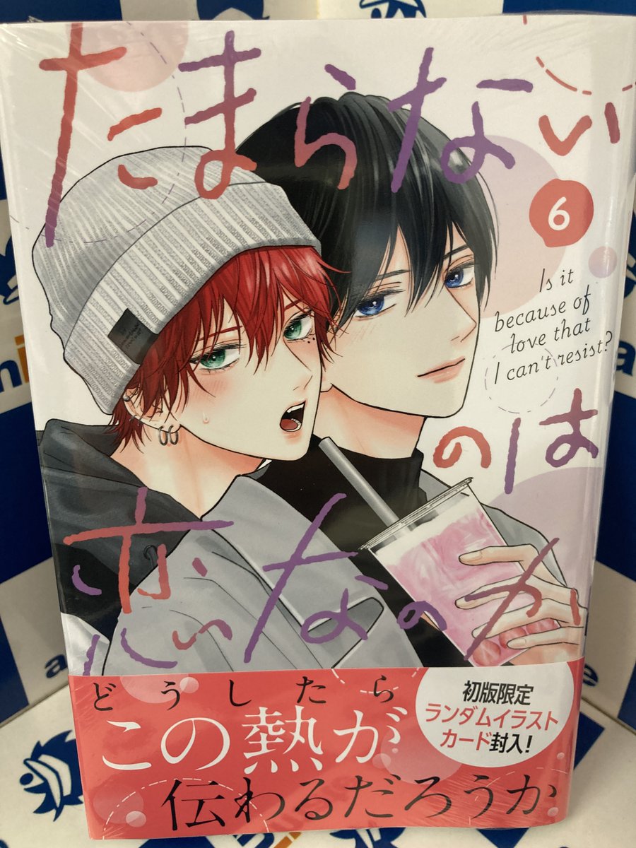コミックス新刊情報】 「たまらないのは恋なのか」第6巻通常版