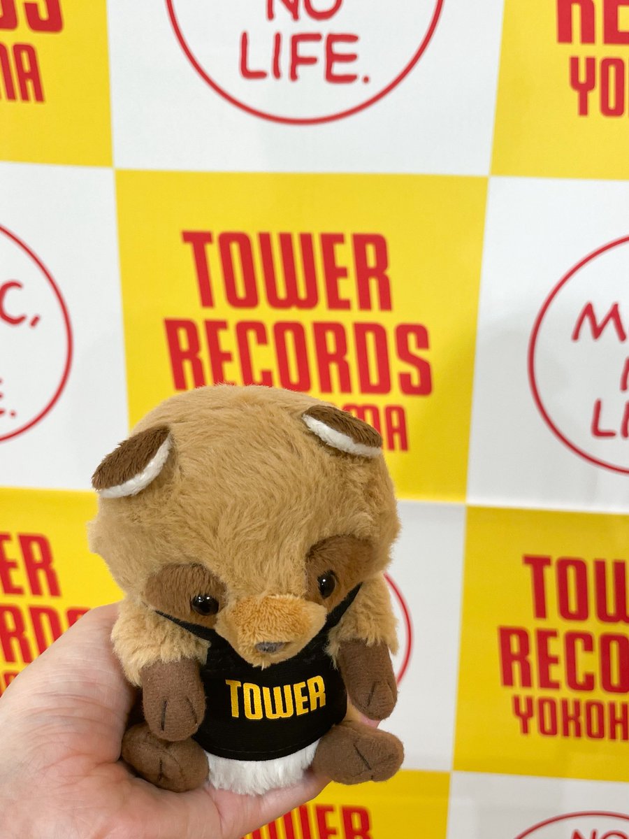 お洋服を作ったり編んだりできないから…気になってたタワレコのエプロンを買ってみたよ！
たぬきさん、ど…どおかな……？
（これ着ていつか小さなタワレコスタッフさんとして働く姿が見たい…😄）