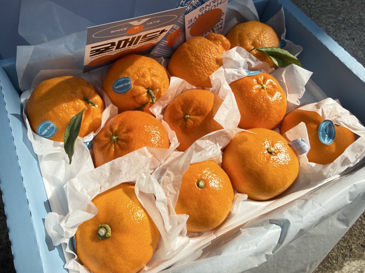 지금 작품 진행하는 곳에서 명절 선물 주셨어요 쨩~~ ✌️ 감사합니다!