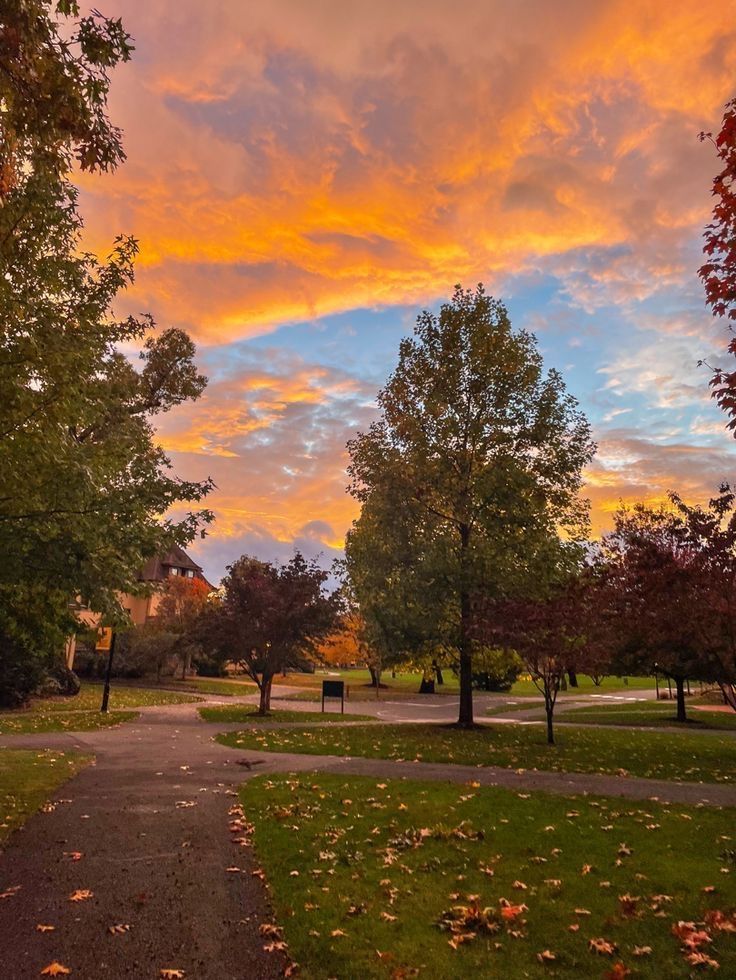 Good Morning X Fam 🌅 

Have A Great Day Ahead 🌞