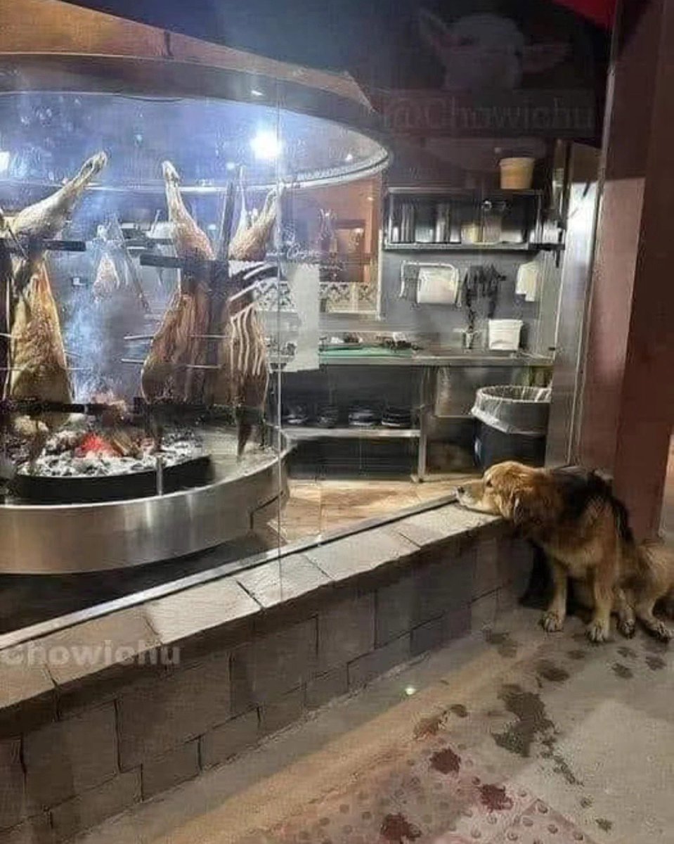 Imagina estar triste, tener hambre, frio, y no poder decirlo.