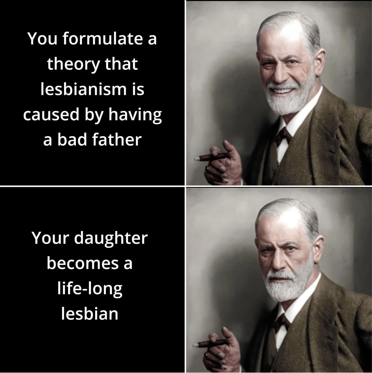 DoctorPerin's tweet photo. More Anna Freud memes! https://t.co/w0hKDIRe0K