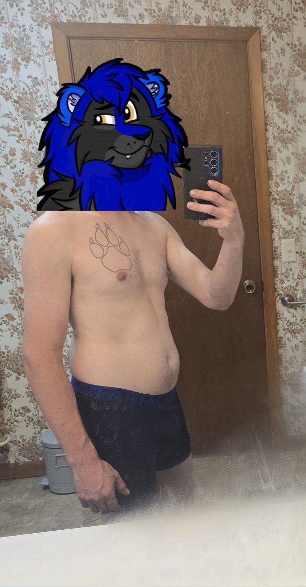 Kodi BigKat 🔜 FWA tweet media