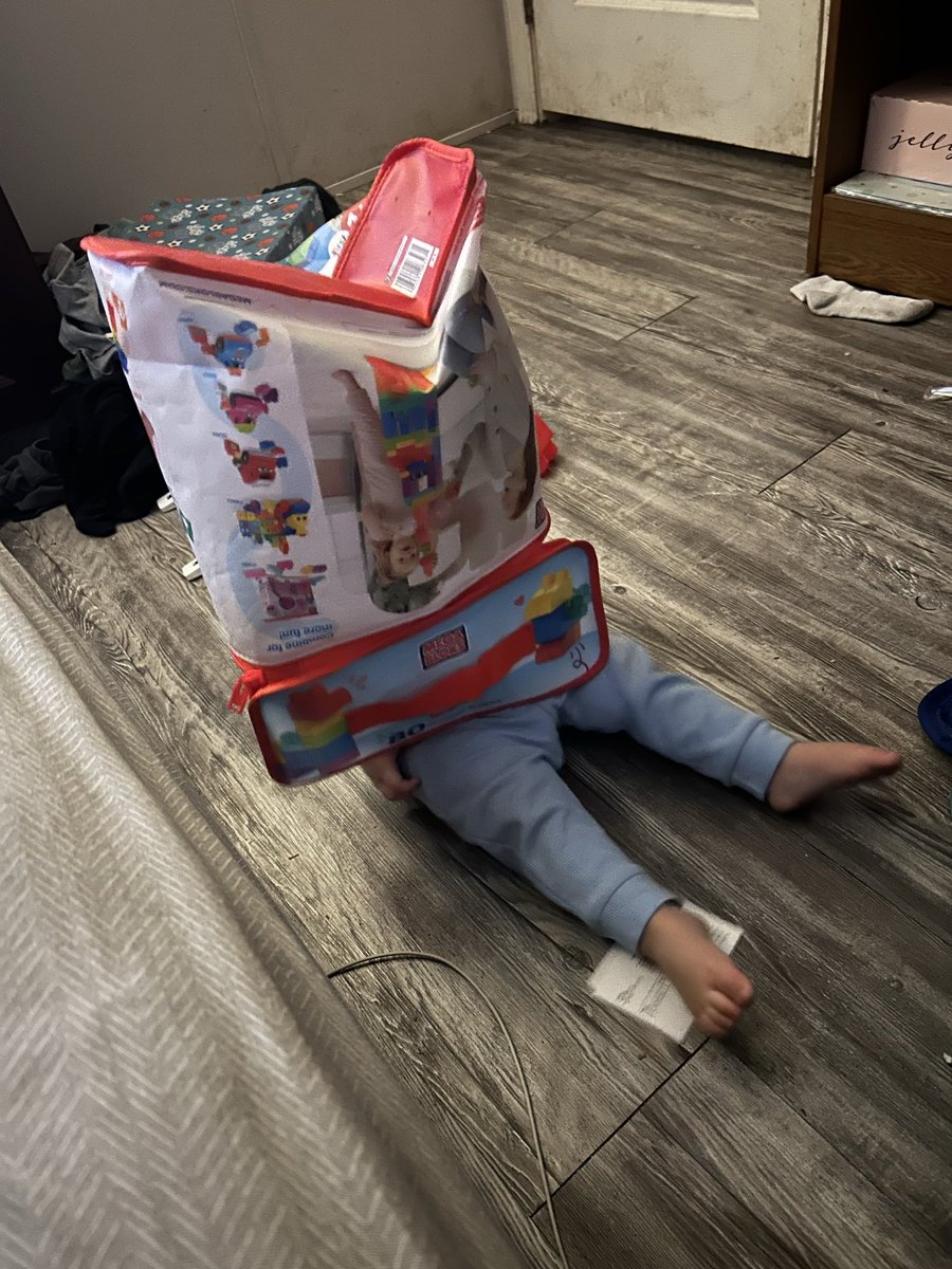 probablyjas's tweet photo. life update: raising a crazy toddler 🤣💙💙 https://t.co/sNIDayKU4n