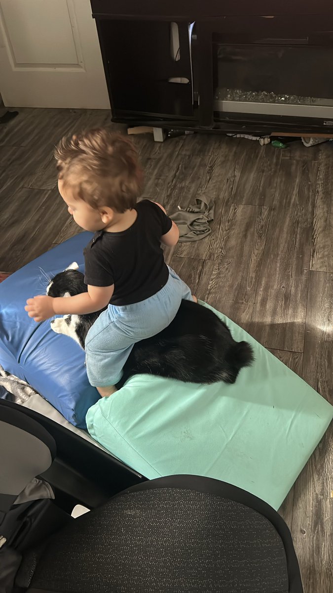probablyjas's tweet photo. life update: raising a crazy toddler 🤣💙💙 https://t.co/sNIDayKU4n