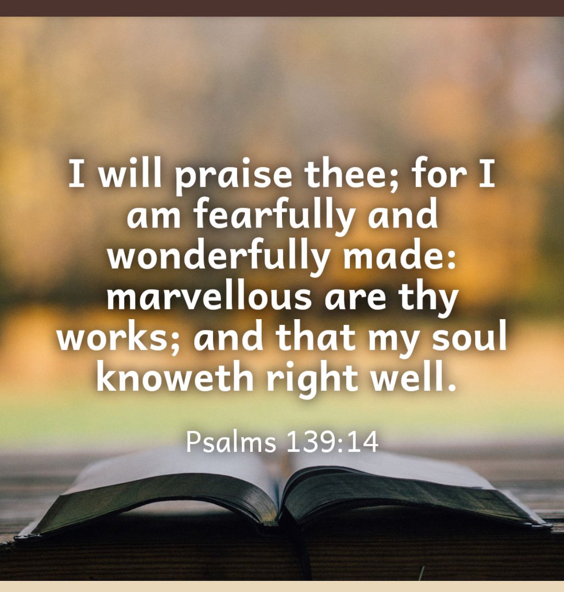 David Dotaona (@ddotaona) on Twitter photo 