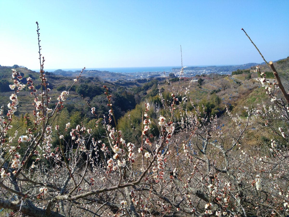 ふな!! tweet media