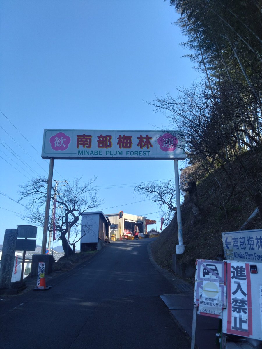 ふな!! tweet media