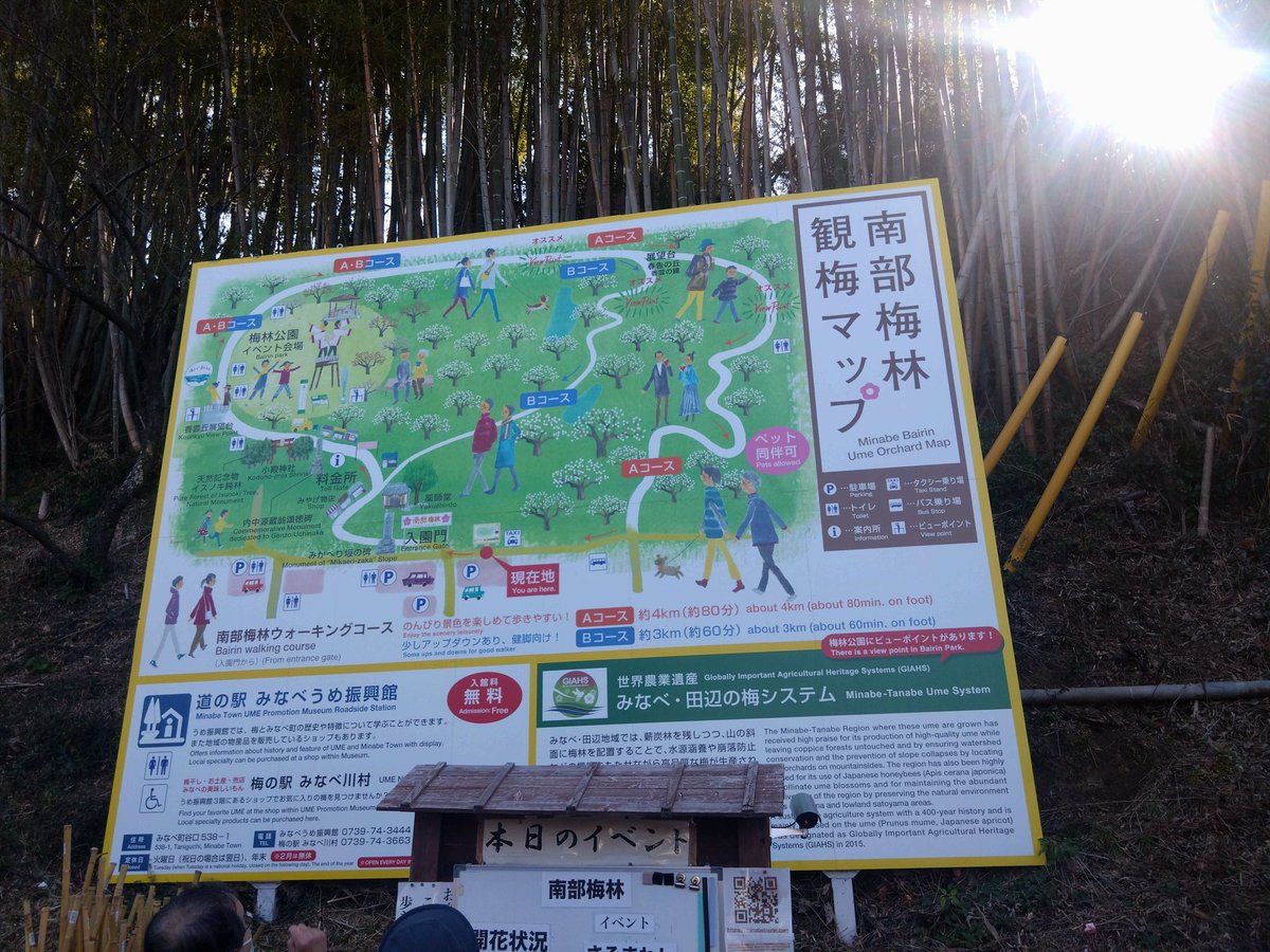 ふな!! tweet media