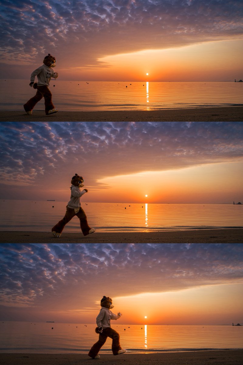 蛇年最后一个 #FursuitFriday ！
当然是用蛇年最后一个（划掉）倒数第四个日出来庆祝啦！跟我一块跑步冲向新jia春qi！