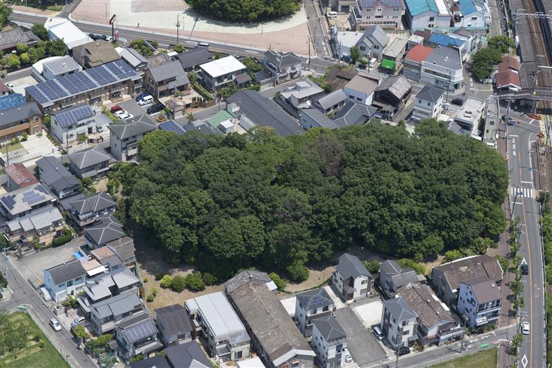 堺市広報課 tweet media