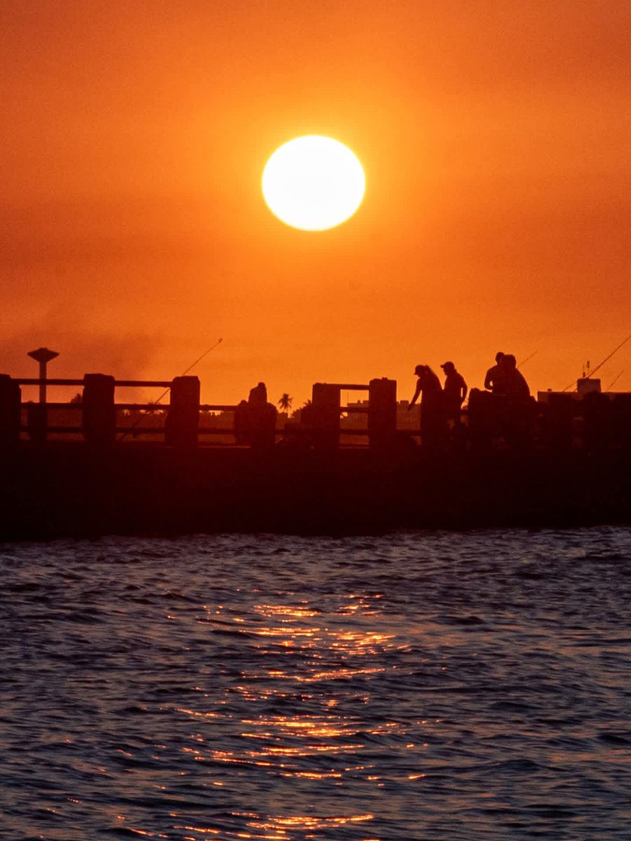 Aly Martinez Mora tweet media