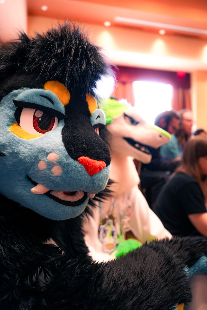 mebop 🔜 TFF tweet media