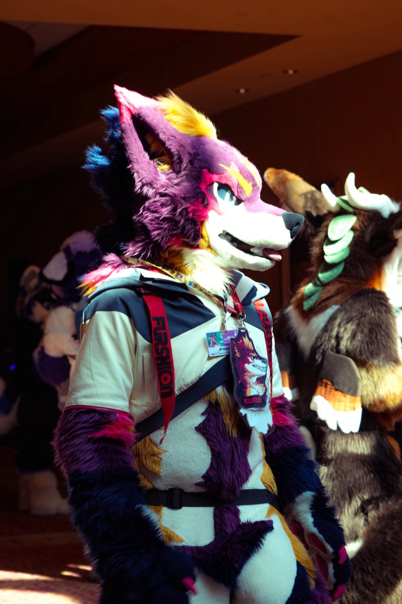 mebop 🔜 TFF tweet media