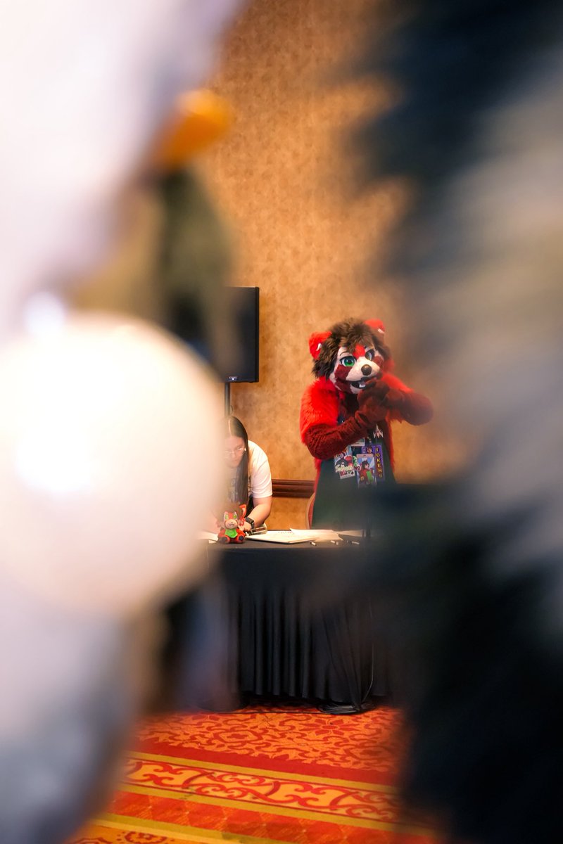 mebop 🔜 TFF tweet media