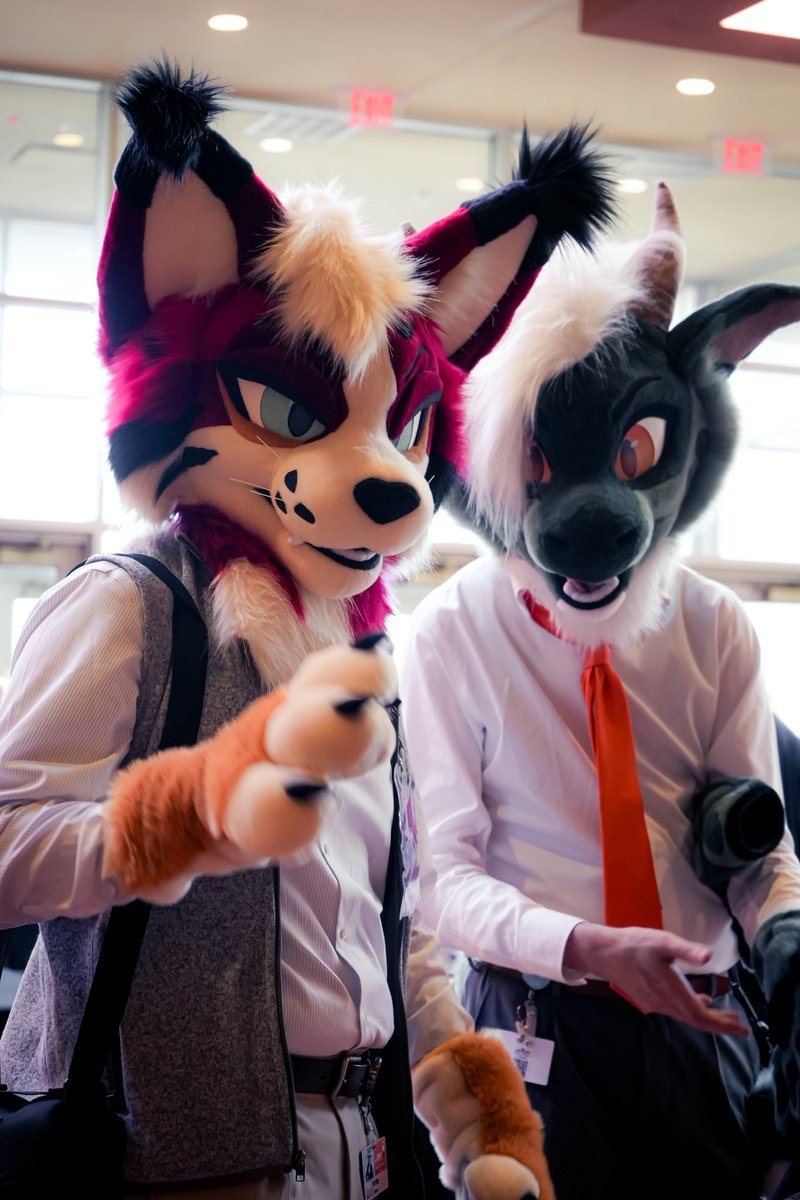 mebop 🔜 TFF tweet media