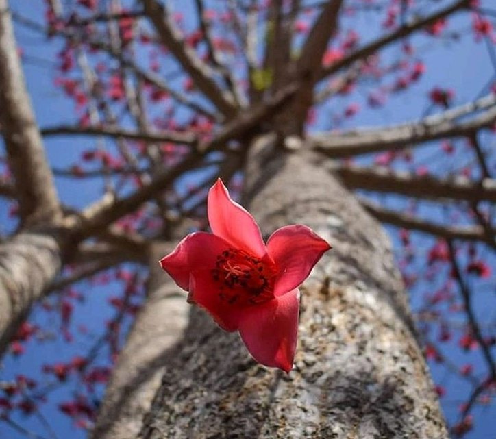 Hi .
Good morning 🌅 

Rise and shine🌞