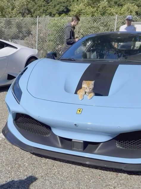 web.jpg (@webjpg) on Twitter photo 