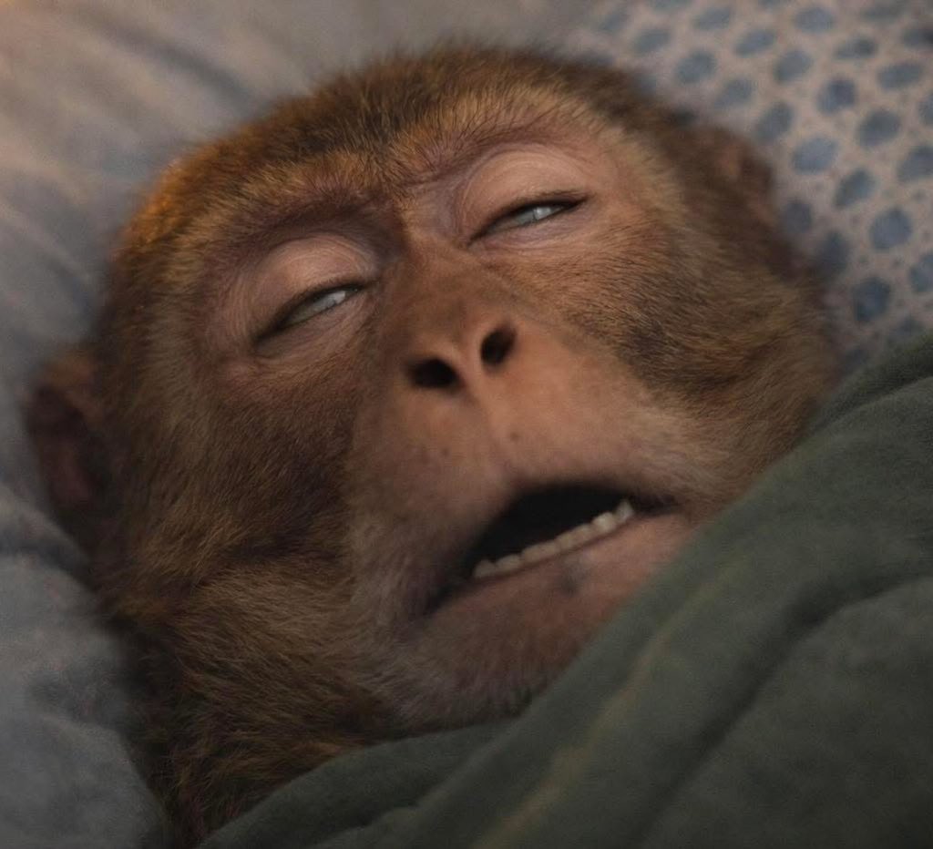 me: baca 50 halaman dulu ah sebelum tidur

also me: