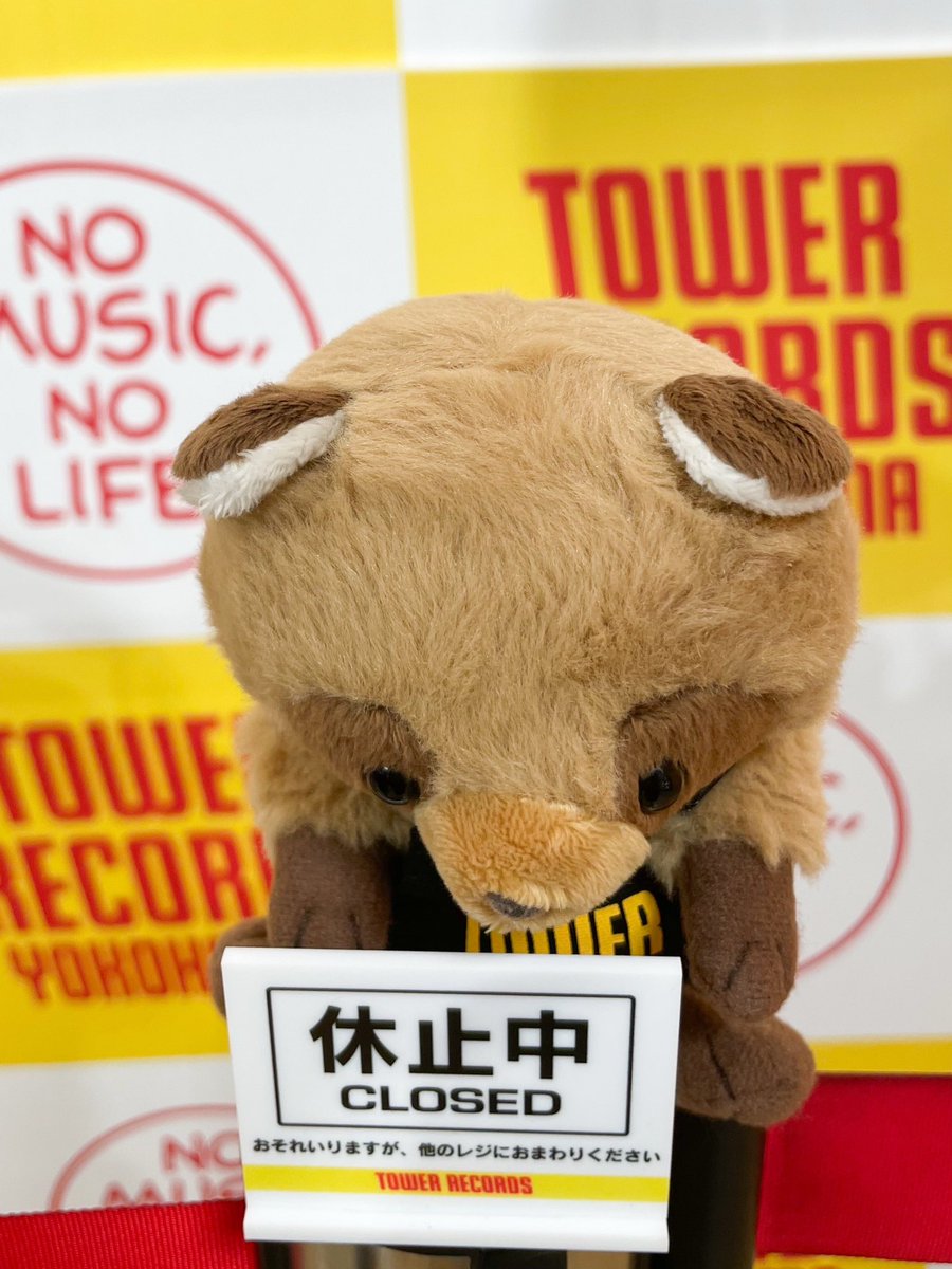 たぬきさん、元気がでなくてレジ休止中😄