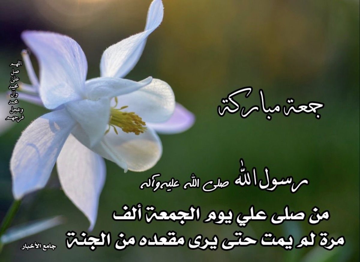 غريب طوس (@aliali146030) on Twitter photo 
