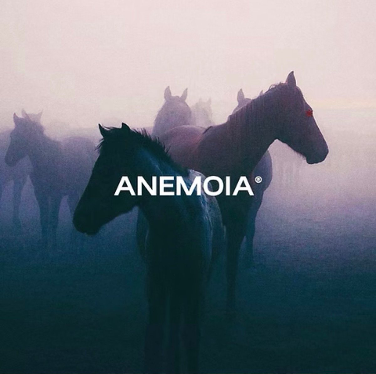 SoSouthern_'s tweet photo. Need crispy sounds? SAPJER - ANEMOIA SOUND KIT — 250 pro sounds (drums, melodies, loops, one-shots). My best work yet. 40% off @ $11.99. Grab it now: https://t.co/wvYzowcc5G #BeatMaking #SamplePack #Producers https://t.co/y4fJk1AmKZ