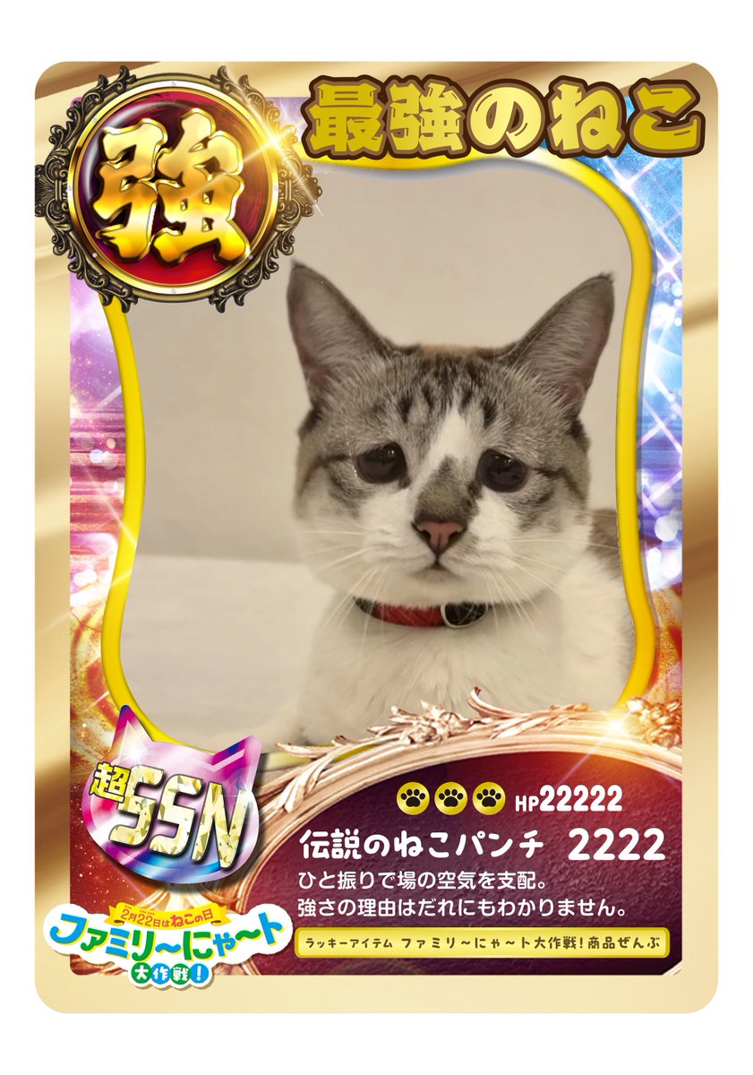 ぴえん猫ミント (@piennekomint) / Posts / X