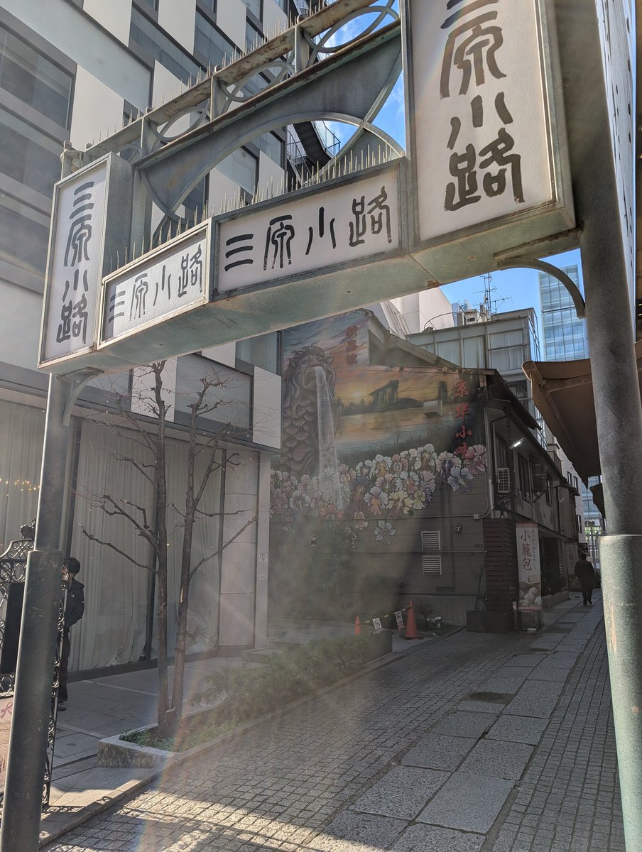 kazumaru884's tweet photo. 金曜日、お疲れ様です!
ビルの影に隠れた小さな路地にも、確実に春の気配が届いていました☀️
忙しい平日も、ふと横道に逸れるだけでこんなに綺麗な「春」に出会える。
皆様も、帰り道に素敵な光を見つけられますように✨
No.043:路地裏の深呼吸 🍃
#joyney #散歩 #春を探す #金曜日 https://t.co/Ab1J9hQpk1