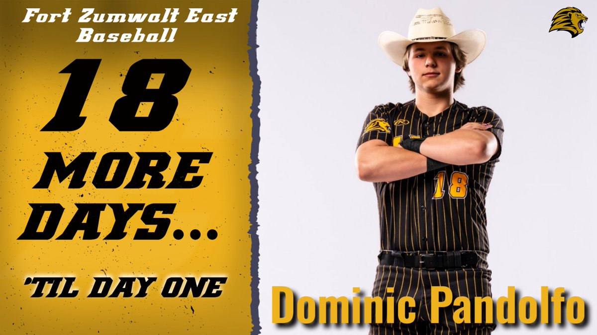 FZE Baseball tweet media