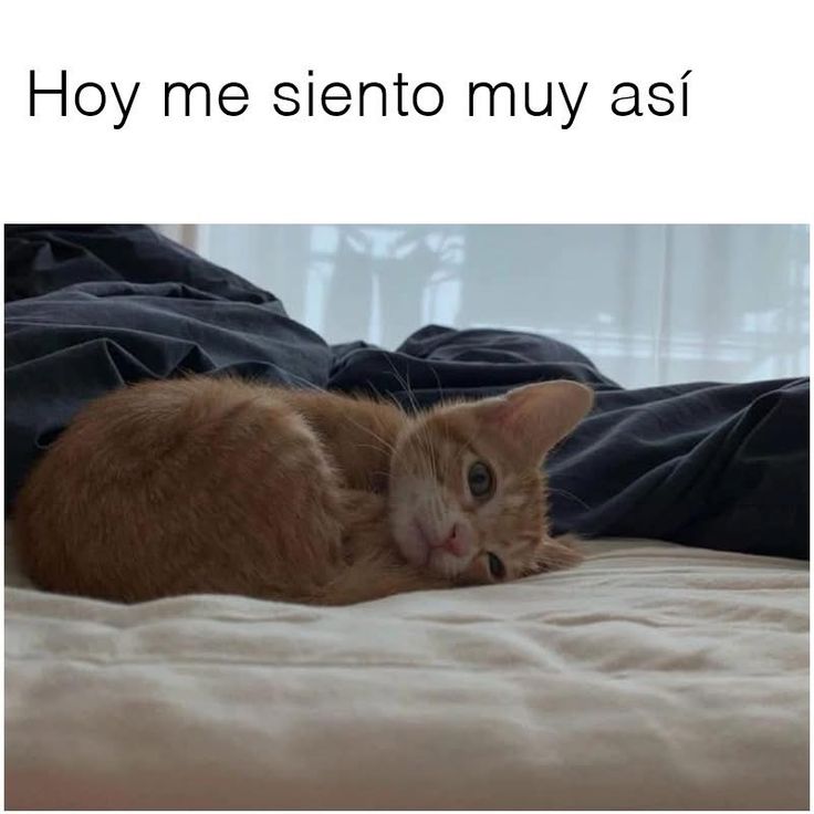 Darkness Girl (@girgrinch9) on Twitter photo 