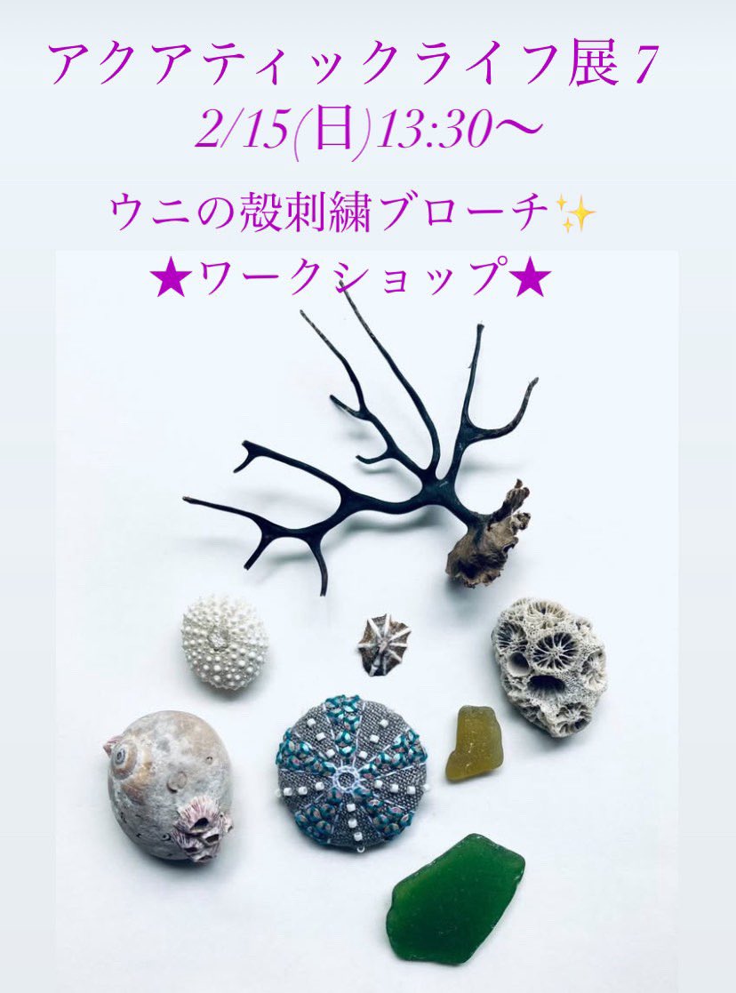 #アクアティックライフ展7
3日目です！🦭

今日からカフェスペースにてワークショップも開催されるので賑やかになりそうですね。どうやって作られるのか見学もできます！

まだ予約ができる日程もありますので興味ある方は是非参加してください🦑🐙💥

江戸川橋水道ギャラリーにておまちしています🪸