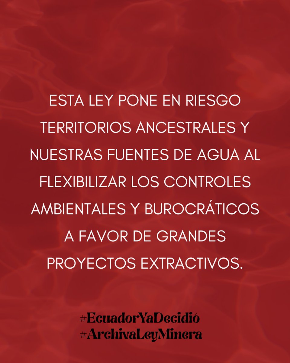 Sin evaluaciones técnicas rigurosas no hay seguridad ambiental ni jurídica. Esto es un retroceso normativo. #EcuadorNoTeDejes #ArchivaLeyMinera 📉🌱<a href="/StevenOrdonezb/">Steven Ordóñez</a> <a href="/alejo_laraP/">Alejandro Lara</a>