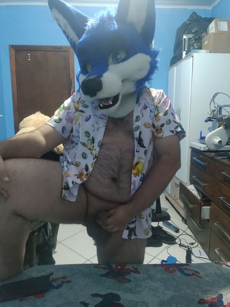 🇧🇷Um blue fox qualquer 🇧🇷 tweet media