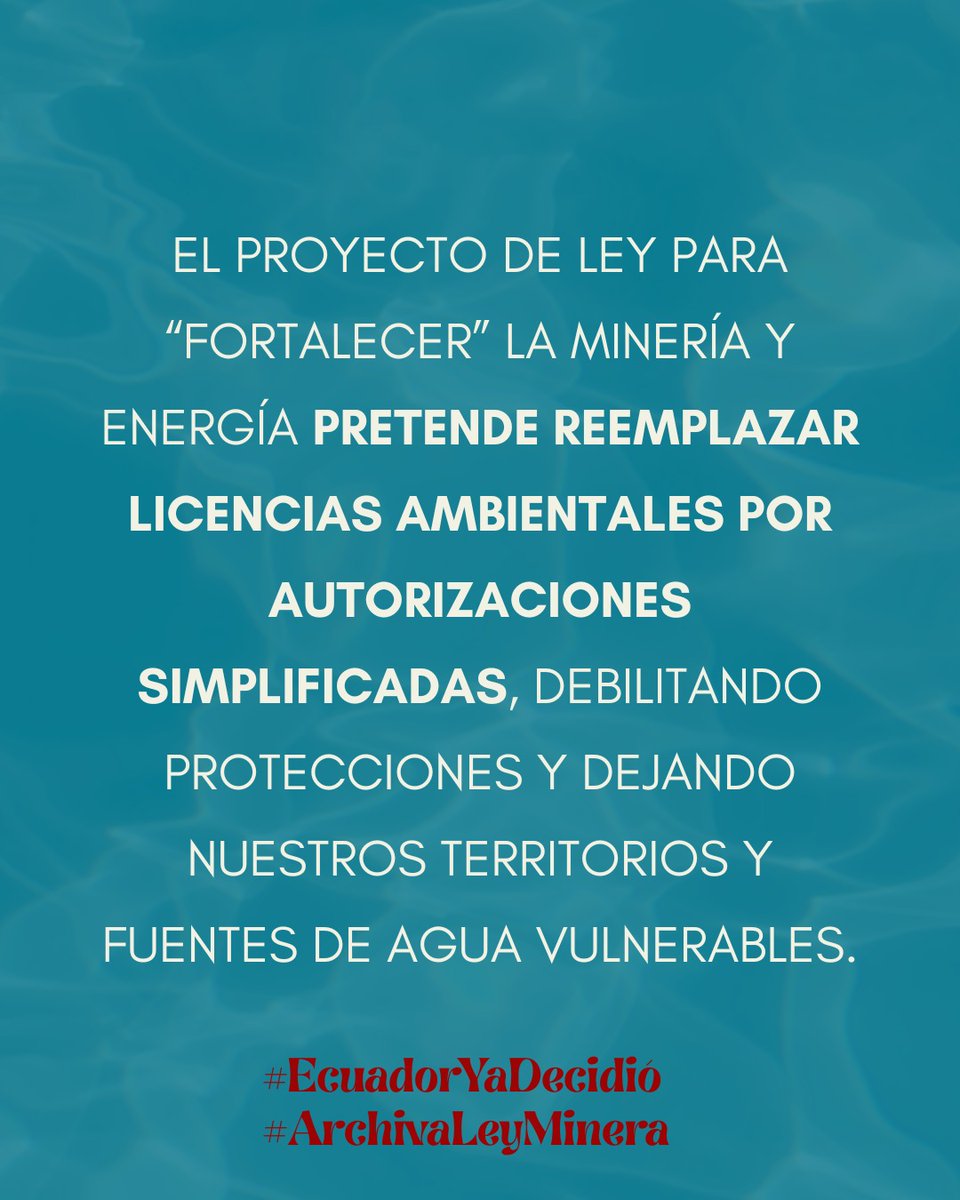 Sin evaluaciones de impacto rigurosas, cualquier proyecto es una amenaza latente. ¡Responsabilidad, señores! #EcuadorNoTeDejes #ArchivaLeyMinera <a href="/ValenCenteno/">Valentina Centeno</a> <a href="/DesarrolloEcAN/">Desarrollo Económico, Productivo y la Microempresa</a>