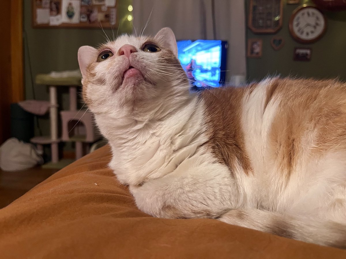 norberg & co tweet media