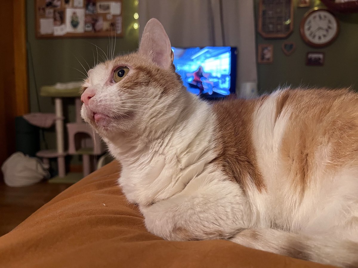 norberg & co tweet media