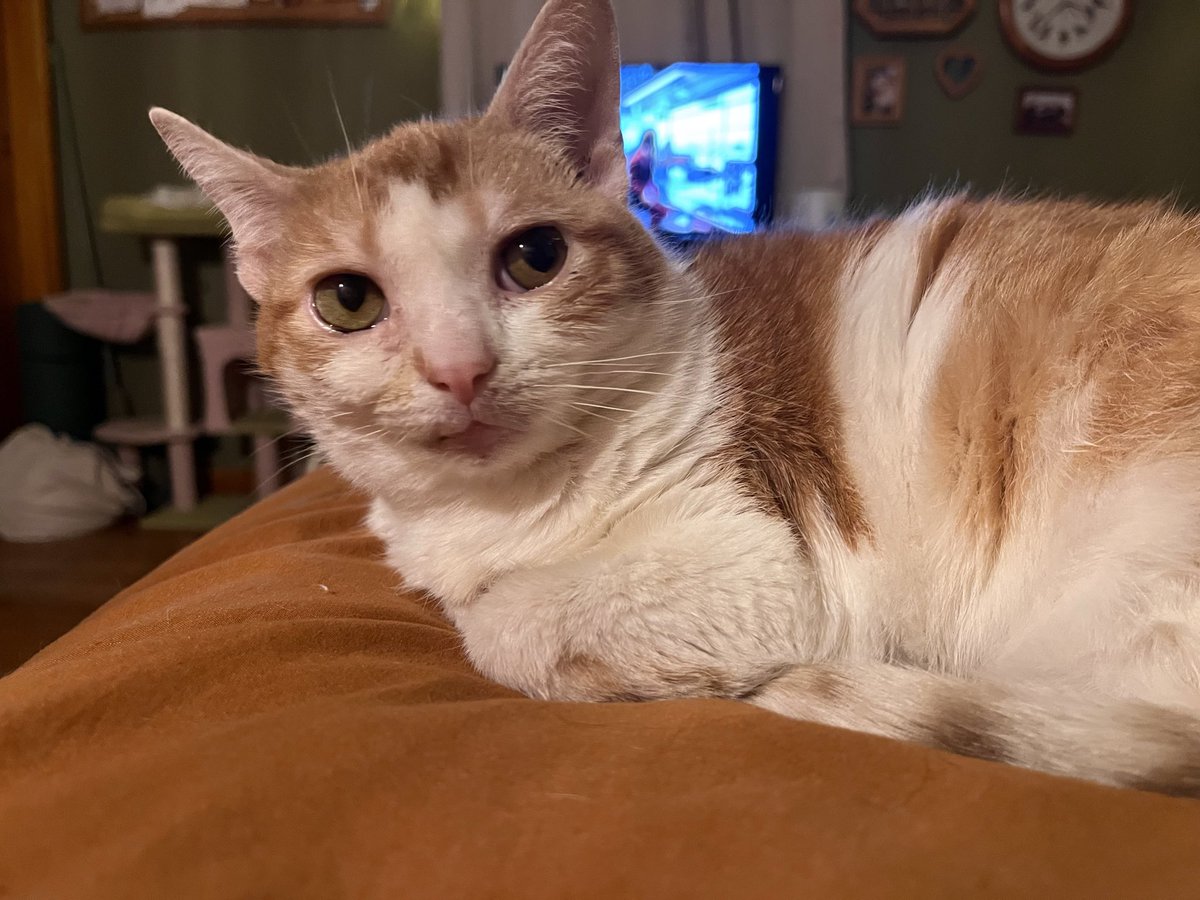 norberg & co tweet media