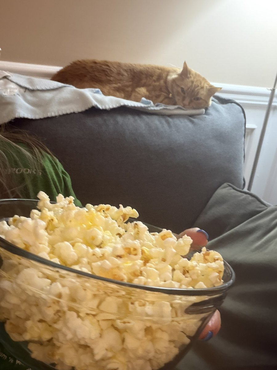 Hi! I’ve got my popping corn and my kitty cat, let’s do this   #tbtxfiles